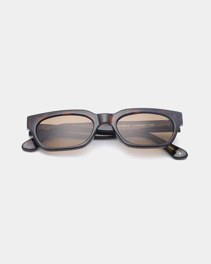 Bror - Demi Tortoise (L.Brown Lens)