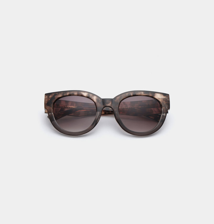 Lilly- Coquina