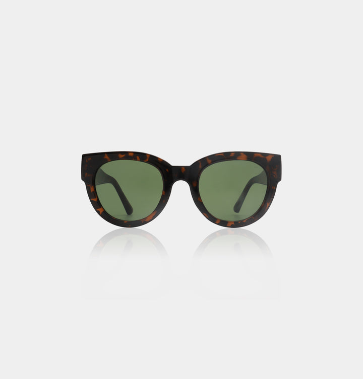 Lilly- Demi Tortoise
