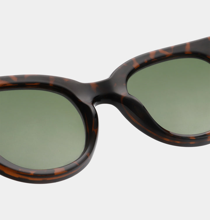 Lilly- Demi Tortoise