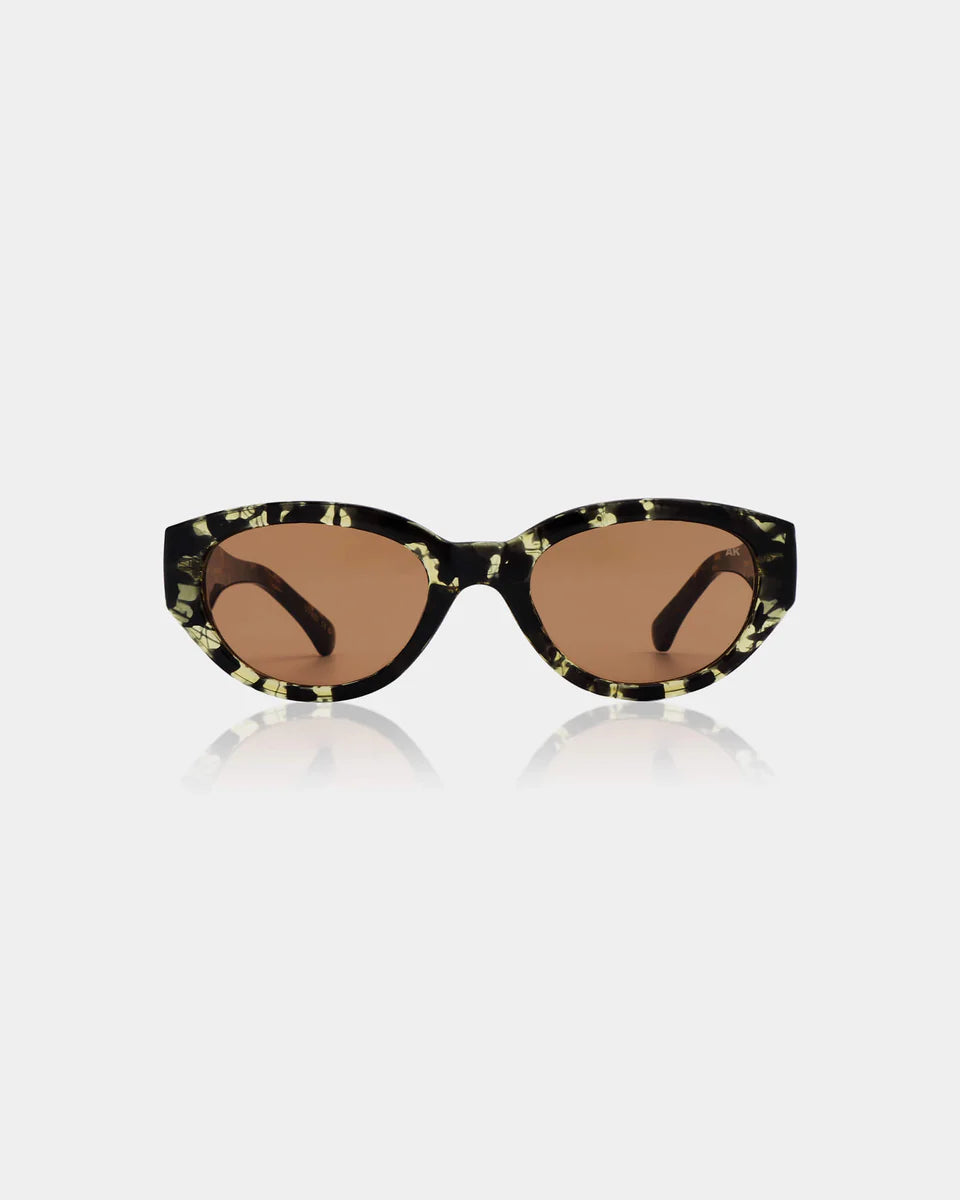 Winnie - black yellow tortoise