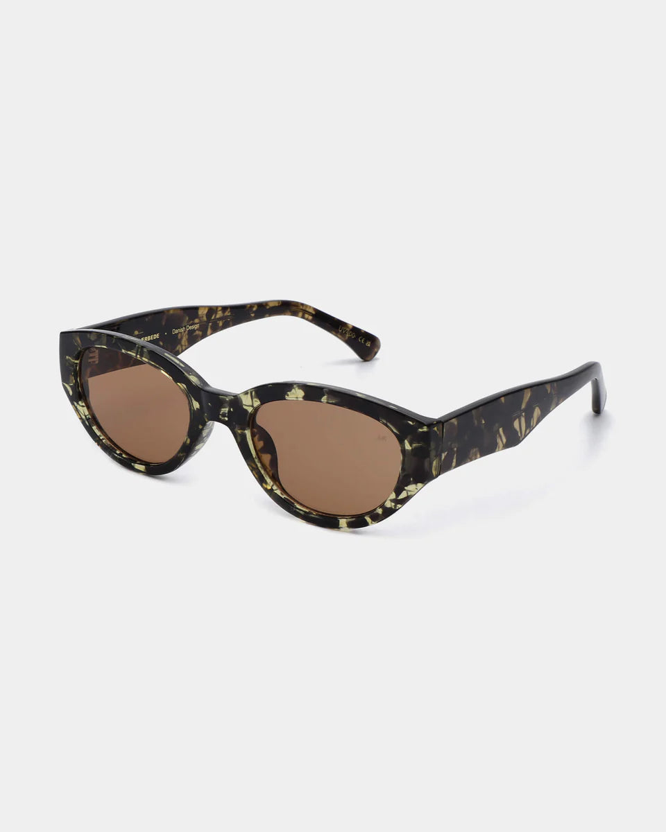 Winnie - black yellow tortoise