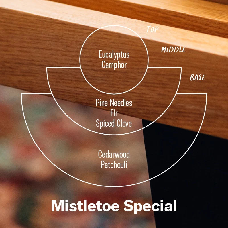 Mistletoe Special– 7.2 oz Soy Candle