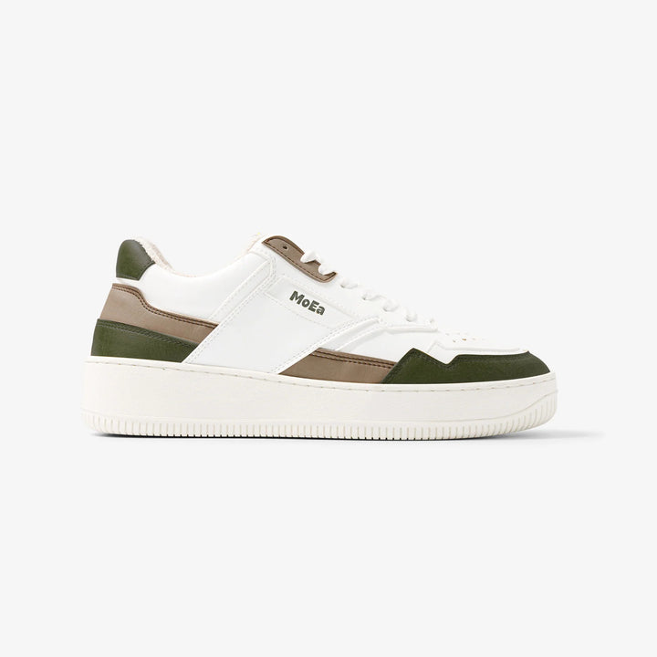 GEN1 Cactus - tricolor